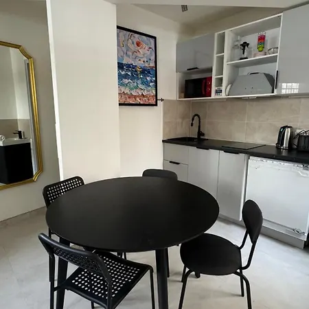 A098-bel Spacieux Au Centre Appartement